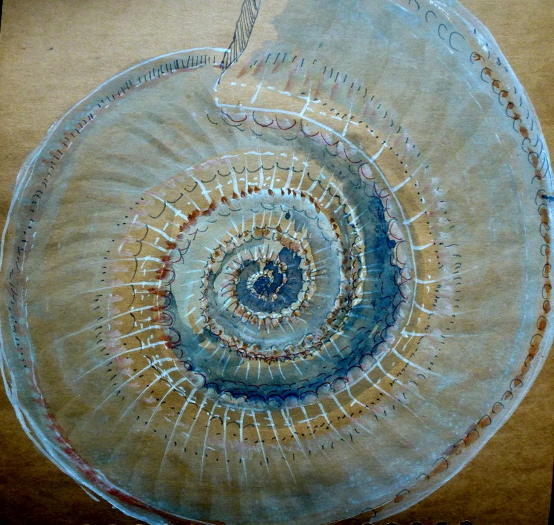 coquillage