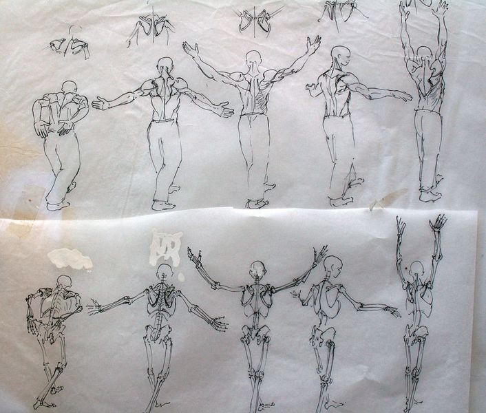 Mouvement de sonnette externe des omoplates