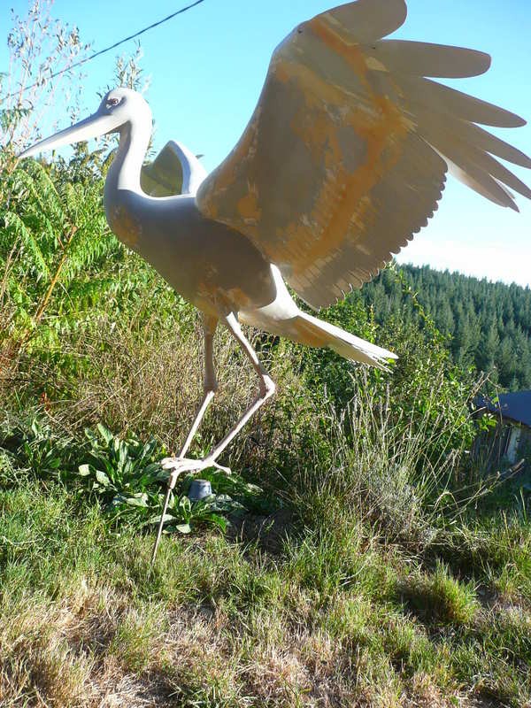 oiseau muséographie cité des sciences